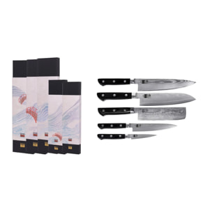Il Set Completo: 5 coltelli (ufficio 9 cm + universale 15 cm + nakiri 16 cm + santoku 18 cm + gyuto 20 cm)