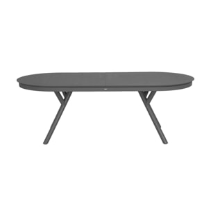 Table de jardin ovale extensible aluminium 10 places METORA