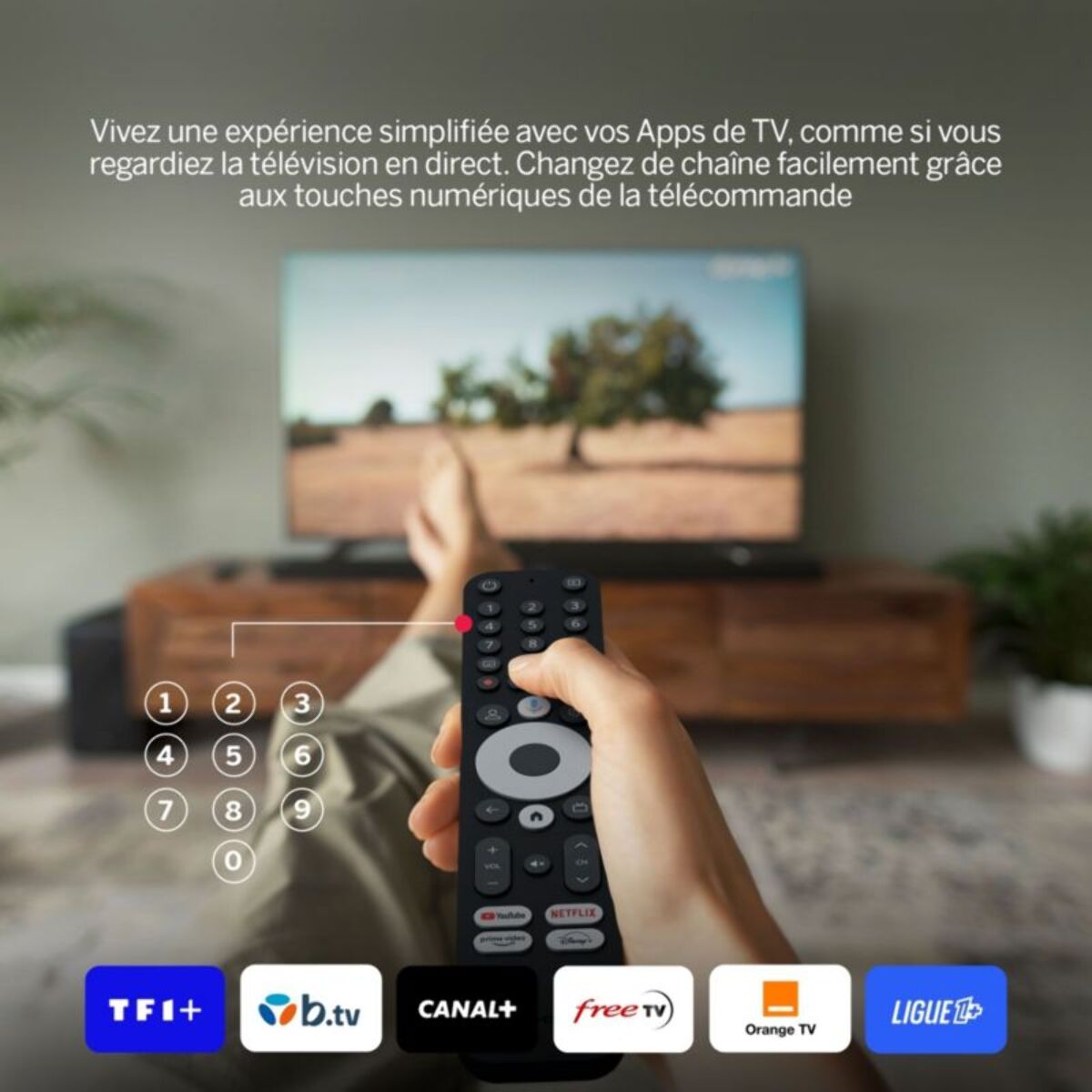Passerelle multimédia THOMSON 245 Box 4K avec Google TV