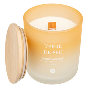 Bougie parfumée Sana 255g pot verre Terre de Feu