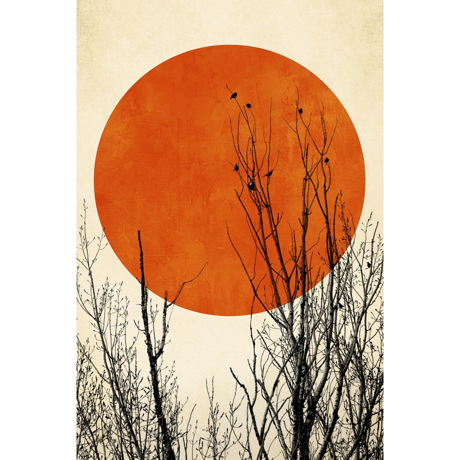Tableau astronomie lueur hivernale  Toile imprimée