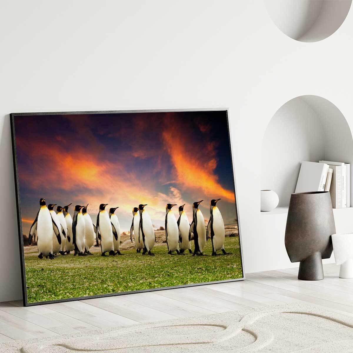 Affiche encadrée manchots paysage naturel Affiche + cadre en métal - Noir