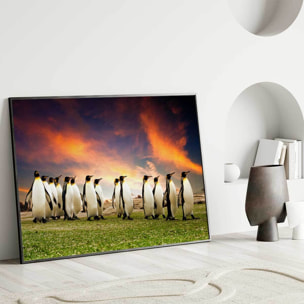 Affiche encadrée manchots paysage naturel Affiche + cadre en métal - Noir