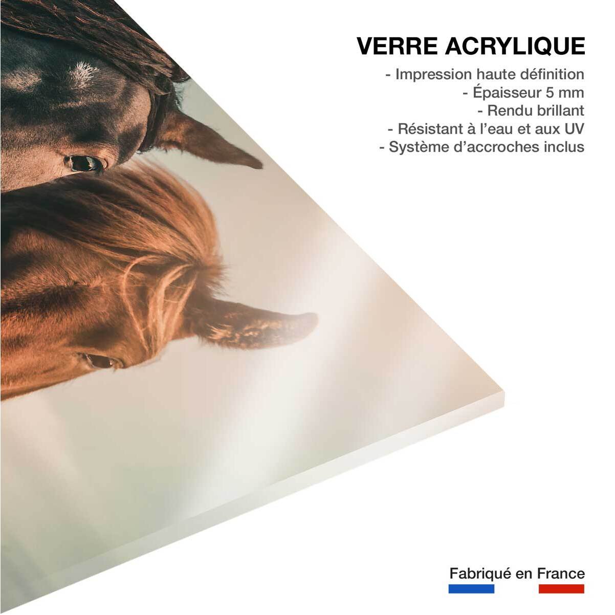 Tableau chevaux horse family  Tableau plexiglas