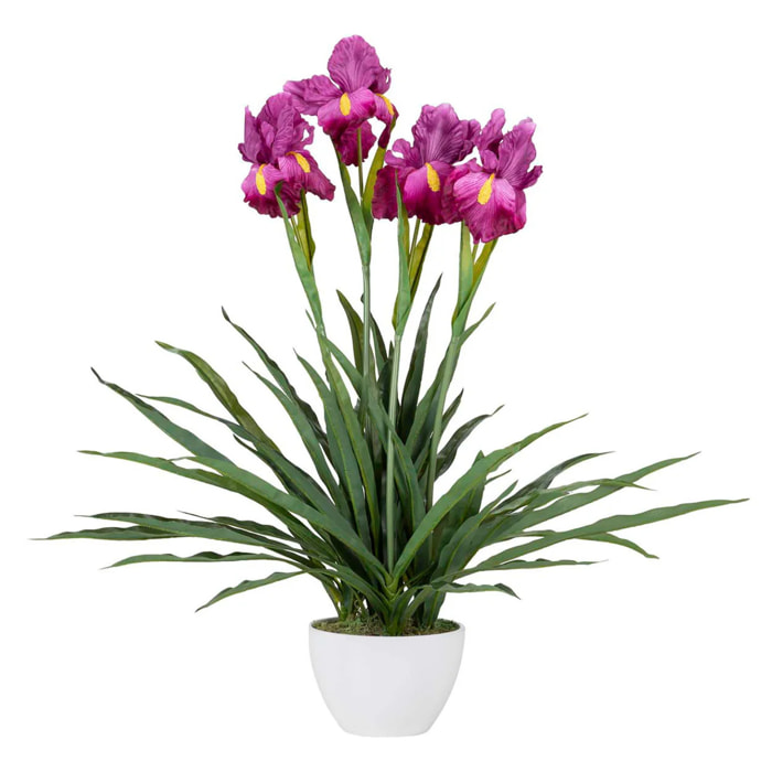 Planta Orquidea Cattleya 60x60x70 Cm