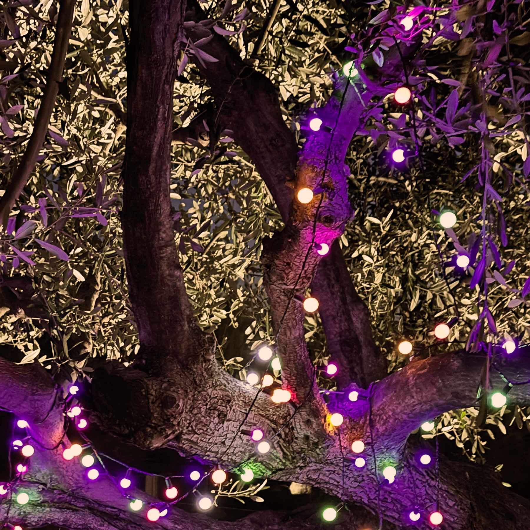 2 Guirlande solaire BILLY 100 boules 11M