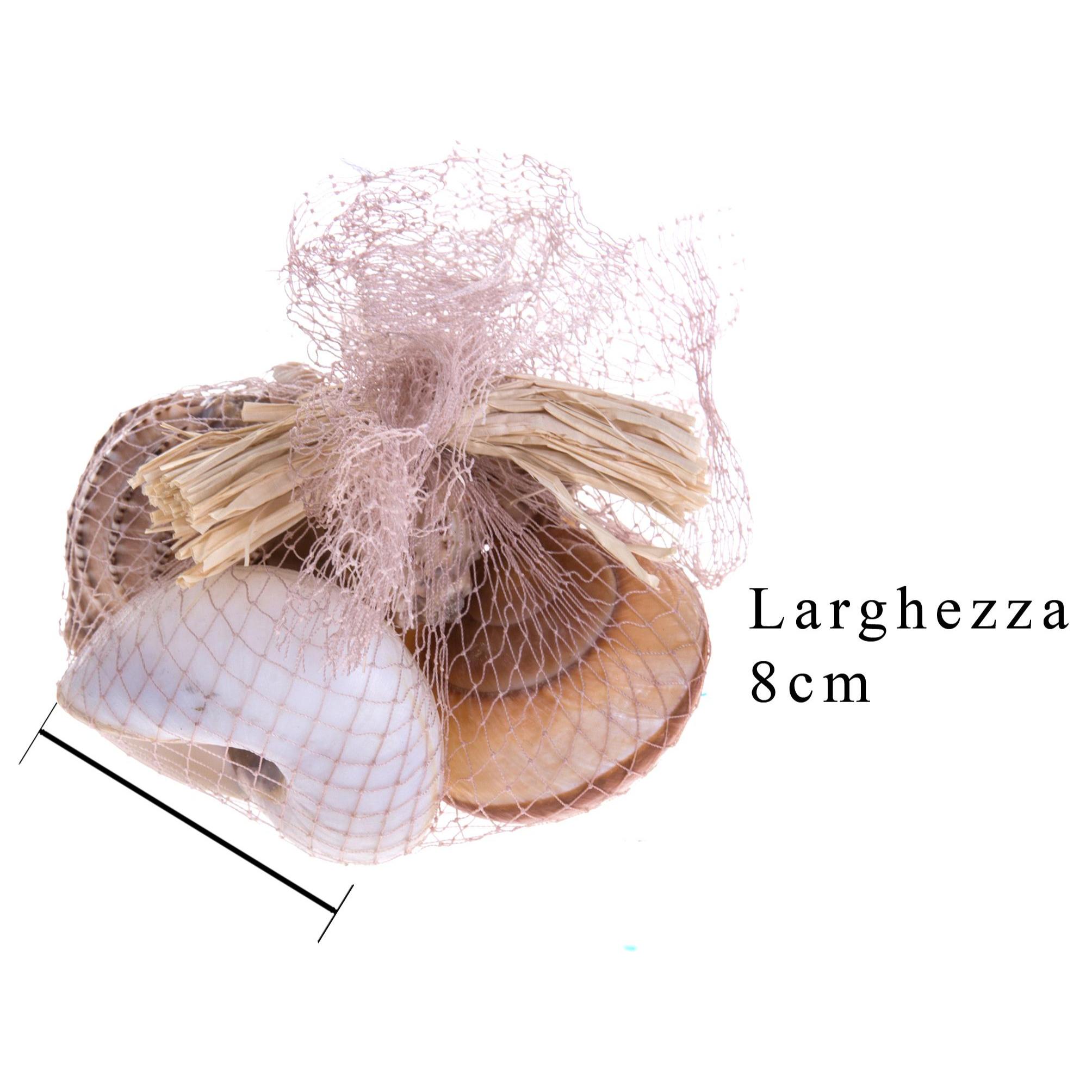 Conchiglie Haliotes/Lamarckiana 6 Pezzi. Larghezza Cm - Pezzi 2 - 8X4,5X8cm - Colore: Incolore - Bianchi Dino - Conchiglie Decori E Stelle Marine