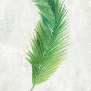 Affiche palme tropicale illustrée Affiche sous cadre noir