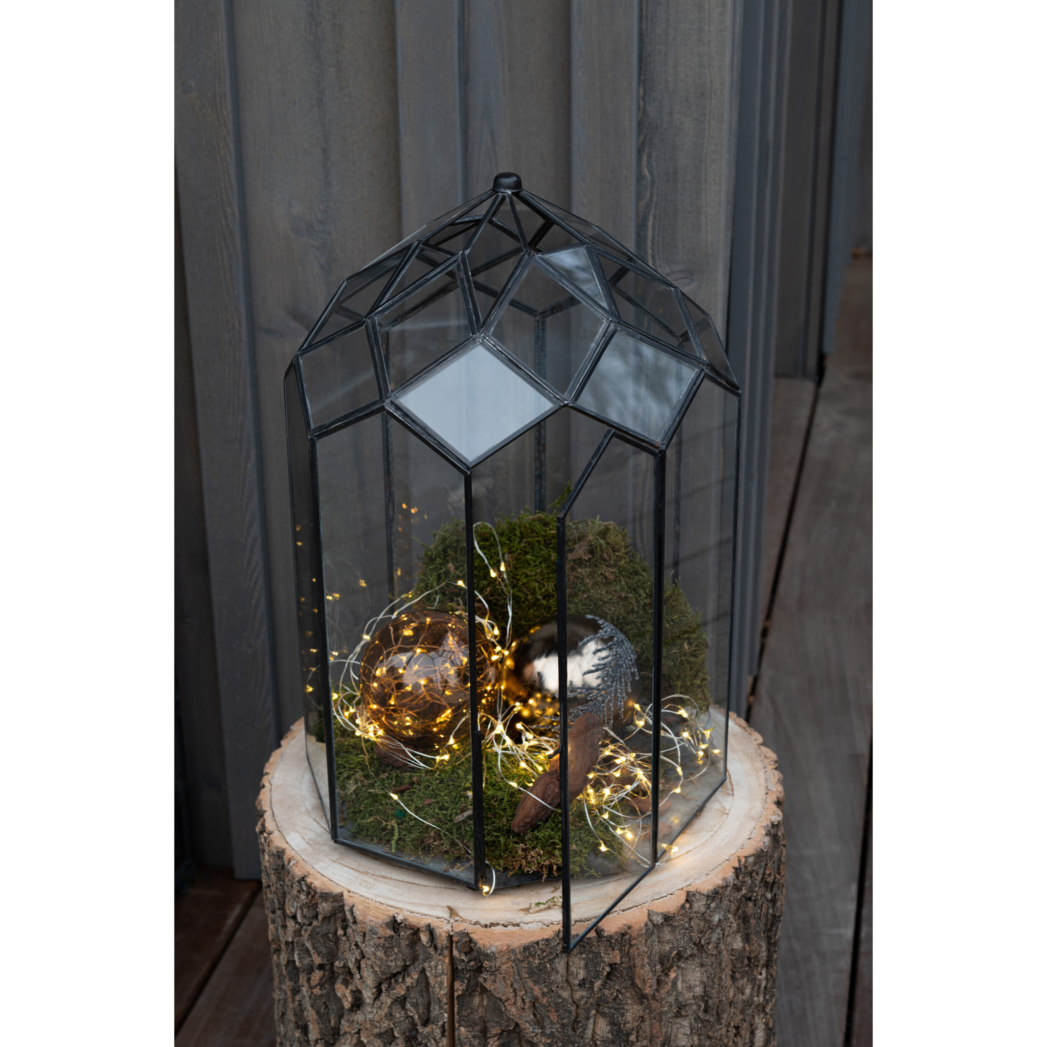 J-Line terrarium - verre/métal - noir - medium