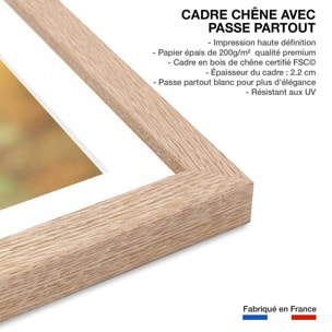 Affiche portrait d'ours Affiche sous cadre bois