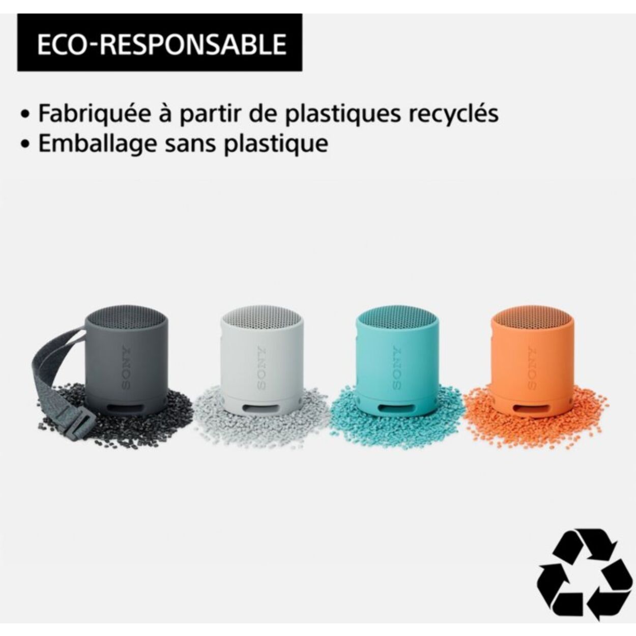 Enceinte portable SONY SRS-XB100 Noir Basalte