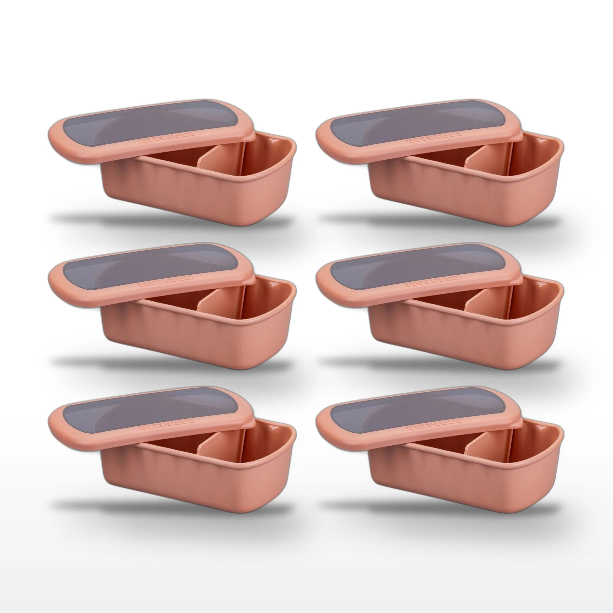 Lot de 6 Lunchbox Terracotta à compartiment réglable 1L Fackelmann Storage
