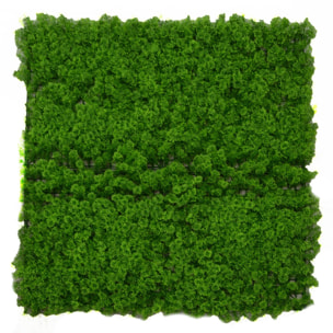 Parete verde verticale Vacchetti lichene cm100x100