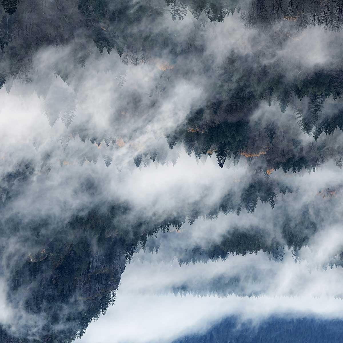 Poster vallée dans le brouillard Affiche + cadre en bois - Chêne
