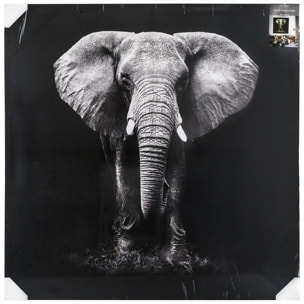 Toile imprimée éléphant 100x100cm