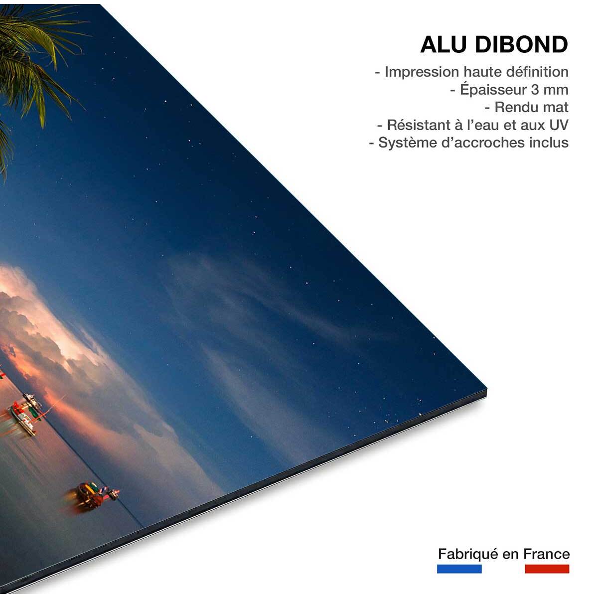 Tableau orgae sur koh tao Tableau alu Dibond