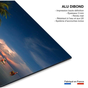 Tableau orgae sur koh tao Tableau alu Dibond