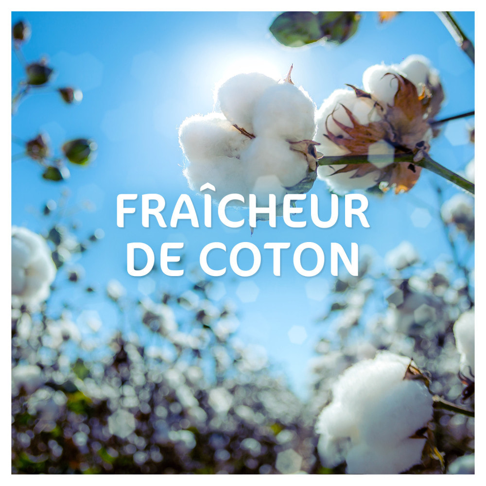 4x28 Pods Fraicheur de Coton - Lessive en Capsules Dash