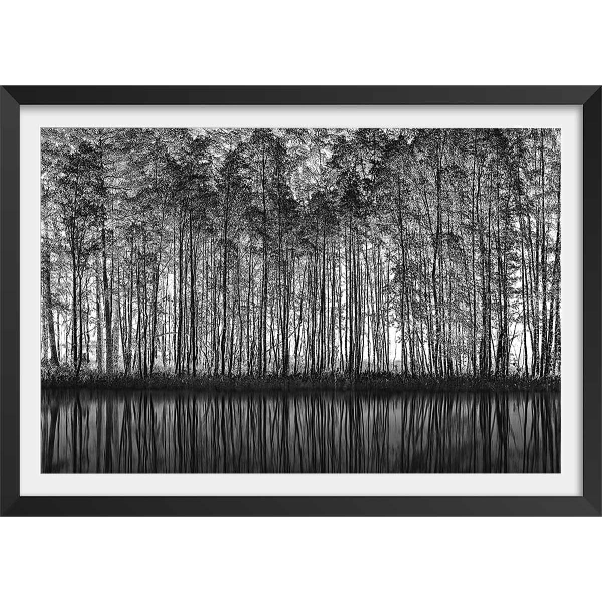 Affiche nature pointillisme Affiche + cadre en bois - Noir