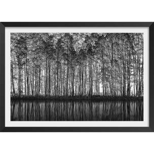 Affiche nature pointillisme Affiche + cadre en bois - Noir