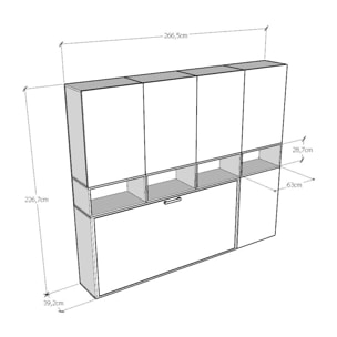 Armoire lit escamotable horizontal 1 couchage 85 Kando composition C Frêne Blanc