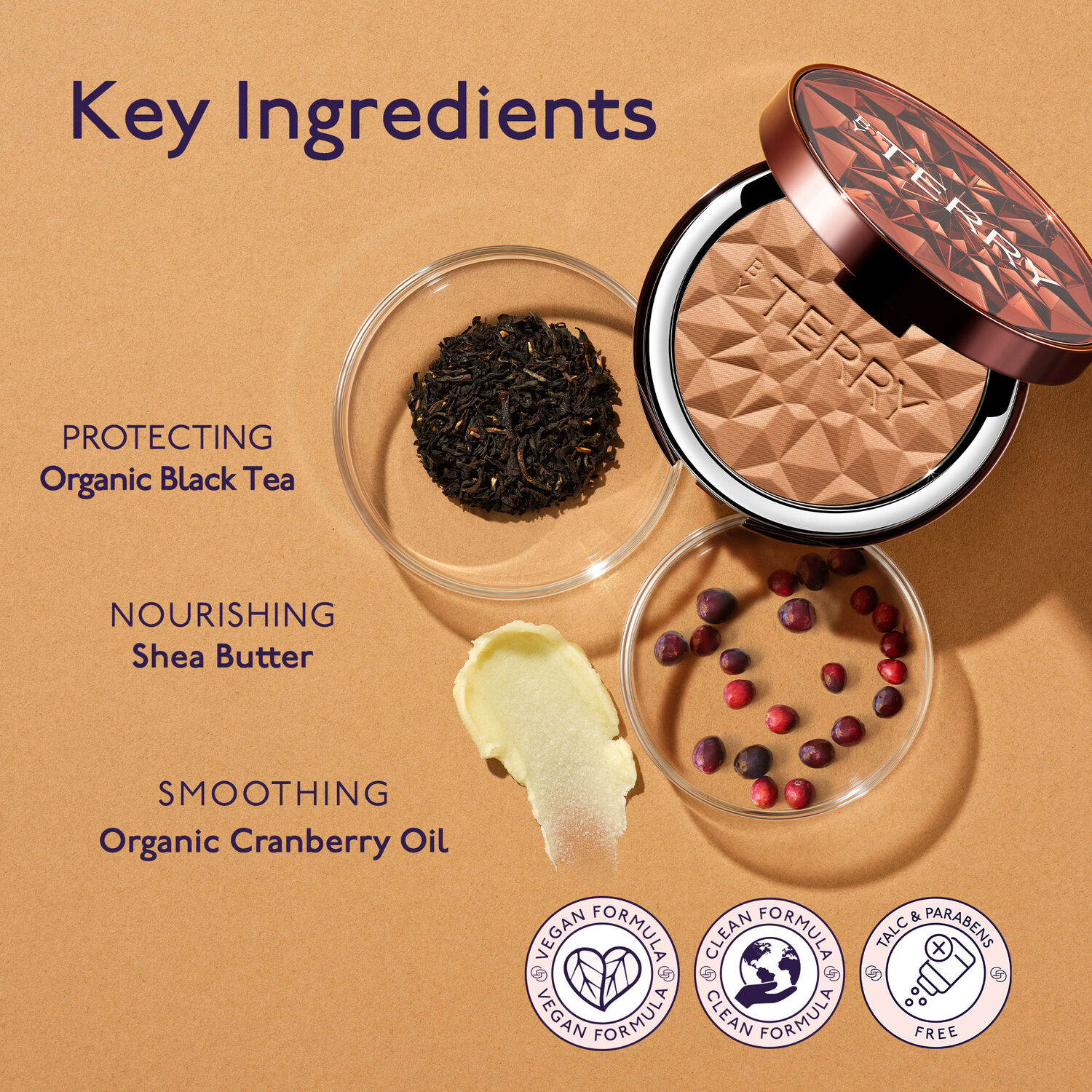 Tea To Tan Sun Powder - Poudre de Soin Hydra-Bronzante 10g