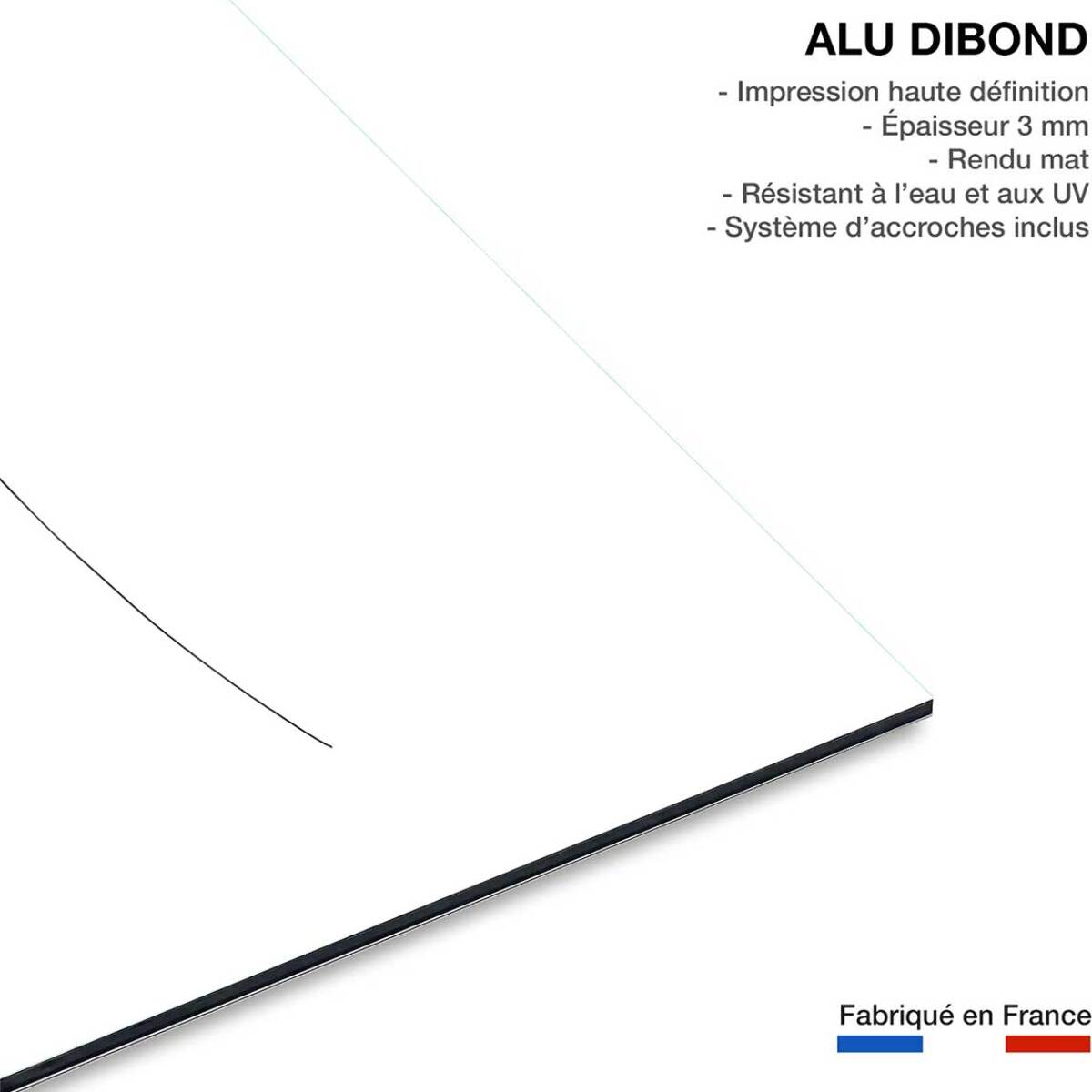 Tableau Bouton de rose croquis Tableau alu Dibond