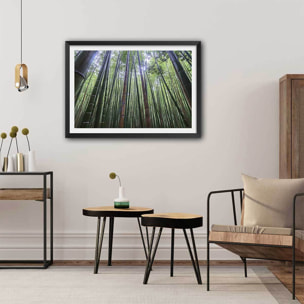 Affiche zen Bambous Geants Affiche + cadre en bois - Noir