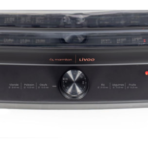 Cuiseur vapeur LIVOO DOC 300