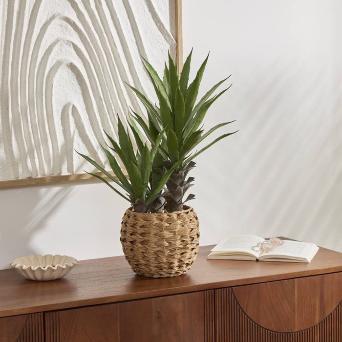 Agave artificiel Moda H.61cm vert