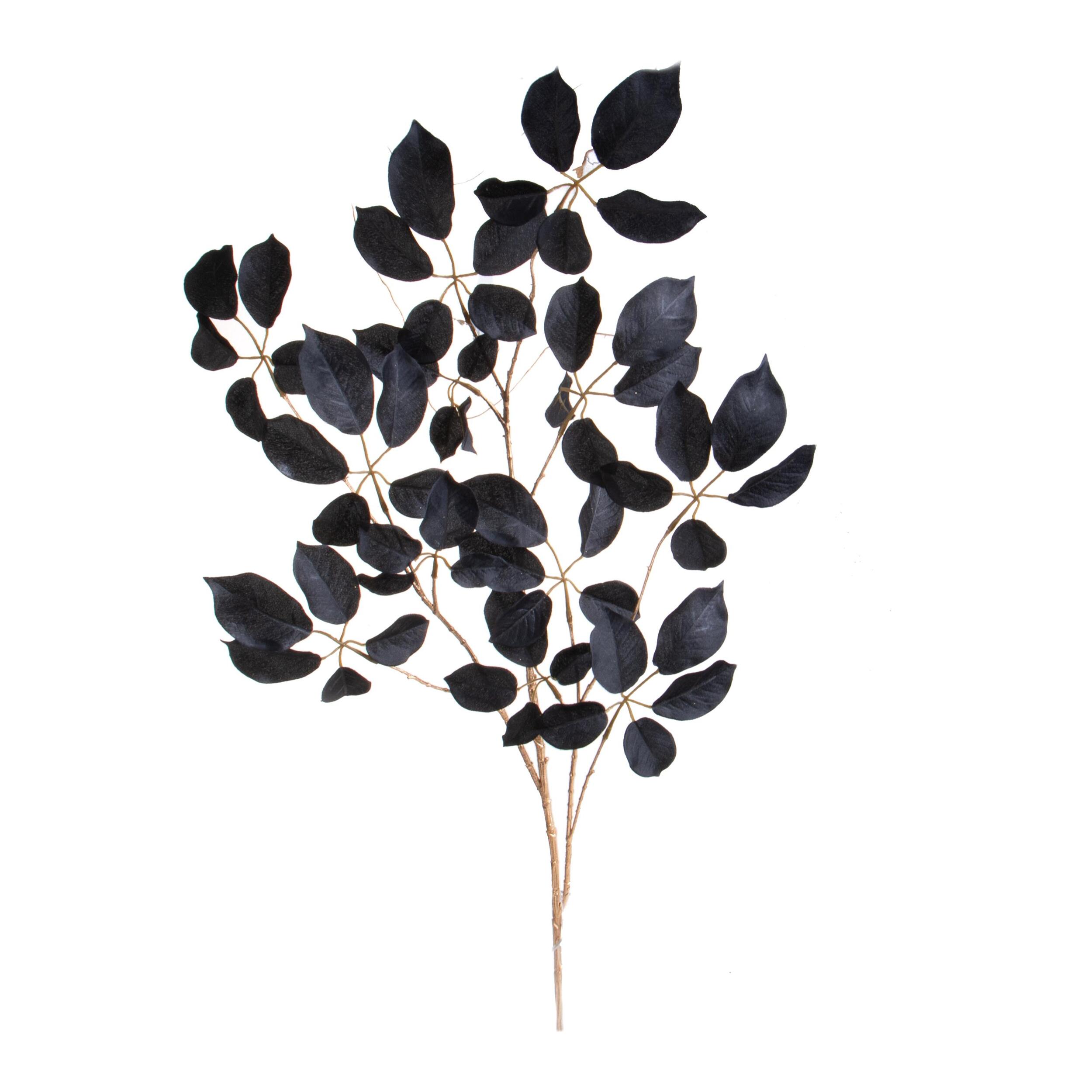 Faggio ramo - Pezzi 6 - 21xH123x0,5cm - Bianchi Dino SpA