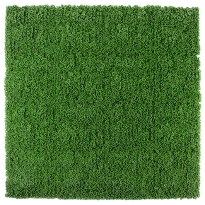 Jardin Vertical Moss 100 X 100 Cm
