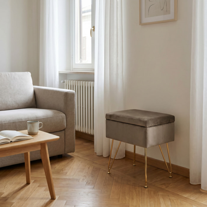 Panca Contenitore in Effetto Velluto con Seduta Imbottita e Vano Portaoggetti, Design Moderno con Gambe in Acciaio per Ingresso, Camera da Letto e Soggiorno