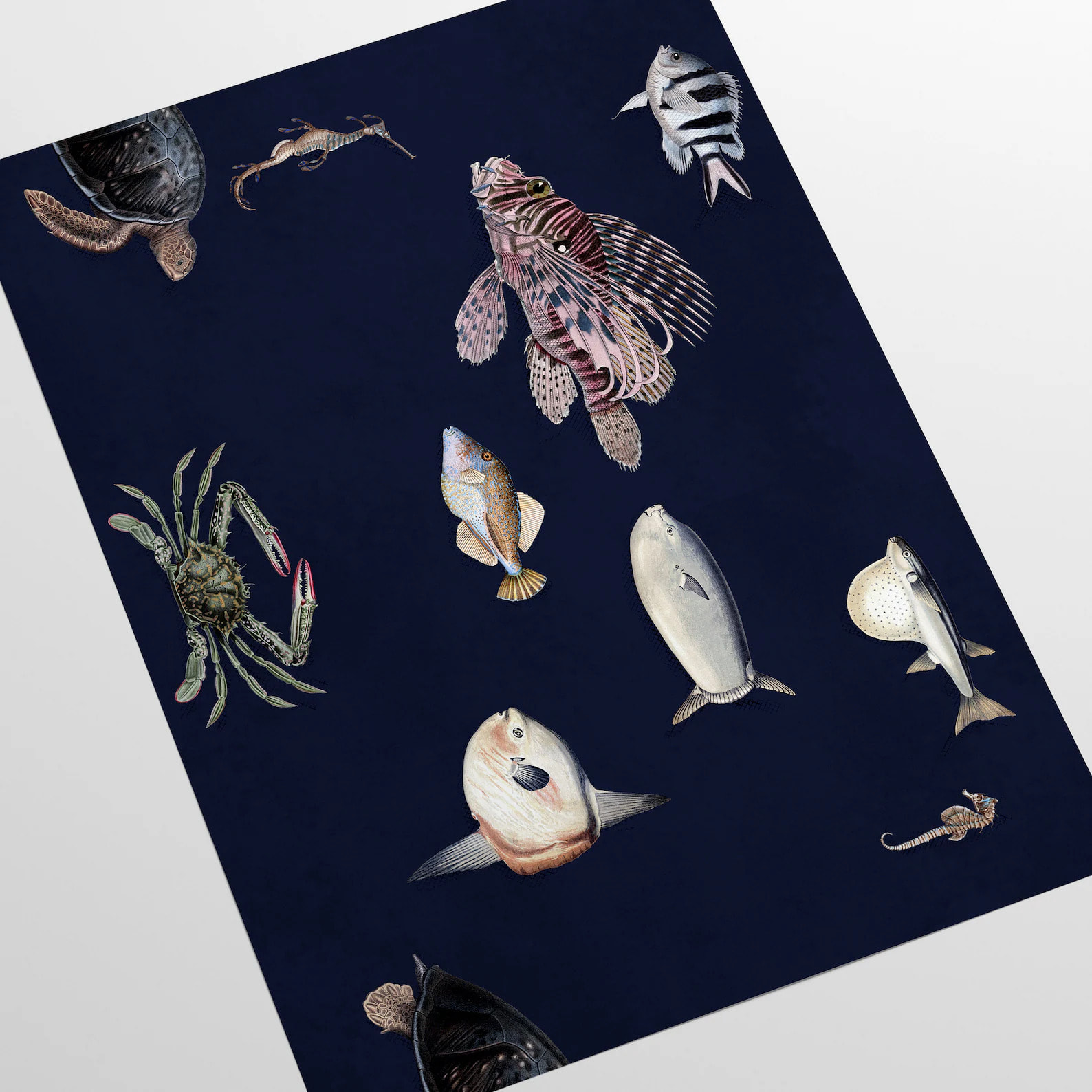 Carta da Parati Pesci Tropicali Blu