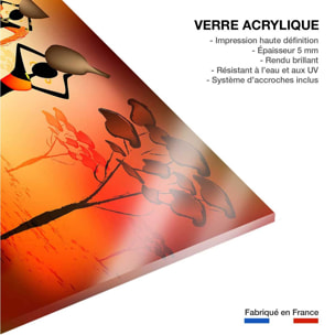 Tableau soirée africaine Tableau plexiglas