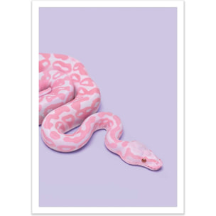Affiche - Pink Snake - Paul Fuentes