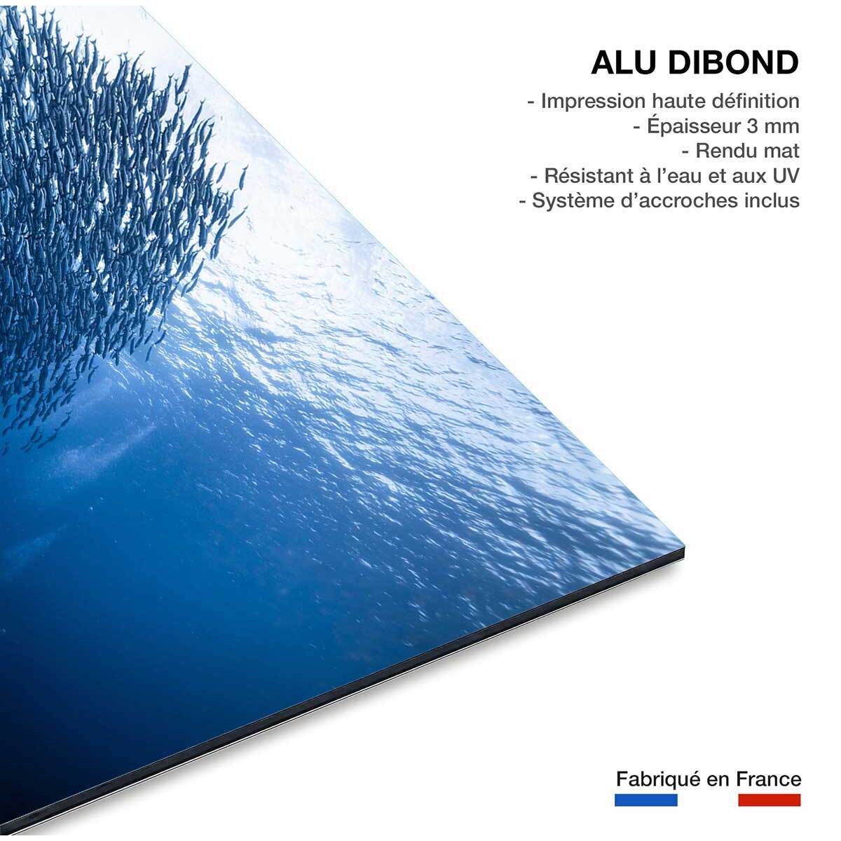 Tableau Masse bleue Tableau alu Dibond