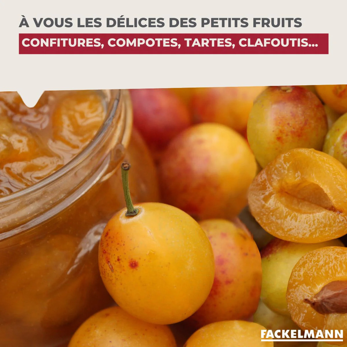 Dénoyauteur de prunes Fackelmann Arcadalina