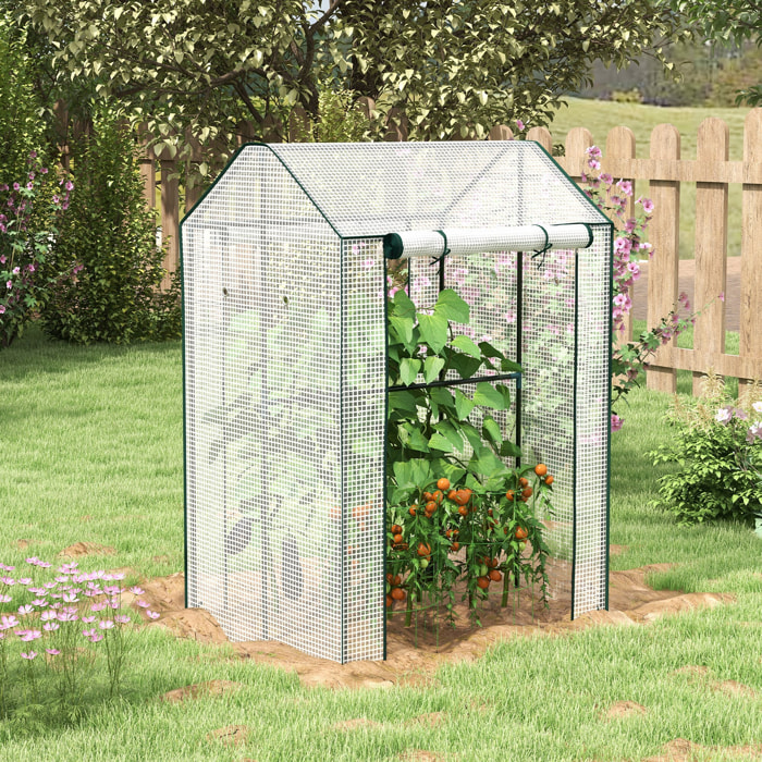 Serre de jardin 0,8 m² - 2 espaces, 2 portes enroulables - acier PE transparent