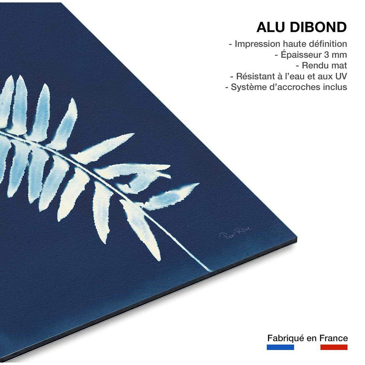 Tableau fleurs Fougère bleue Tableau alu Dibond