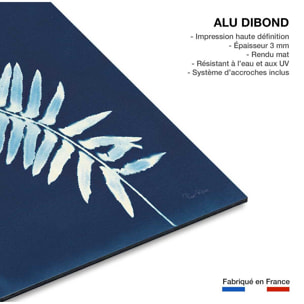 Tableau fleurs Fougère bleue Tableau alu Dibond