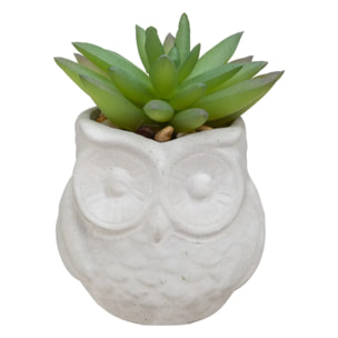 Succulente artificielle - pot en ciment - H8 cm