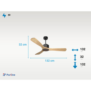 Ventilateur de plafond ø132 cm avec Wifi Réversible Hypersilence 40   W Noir