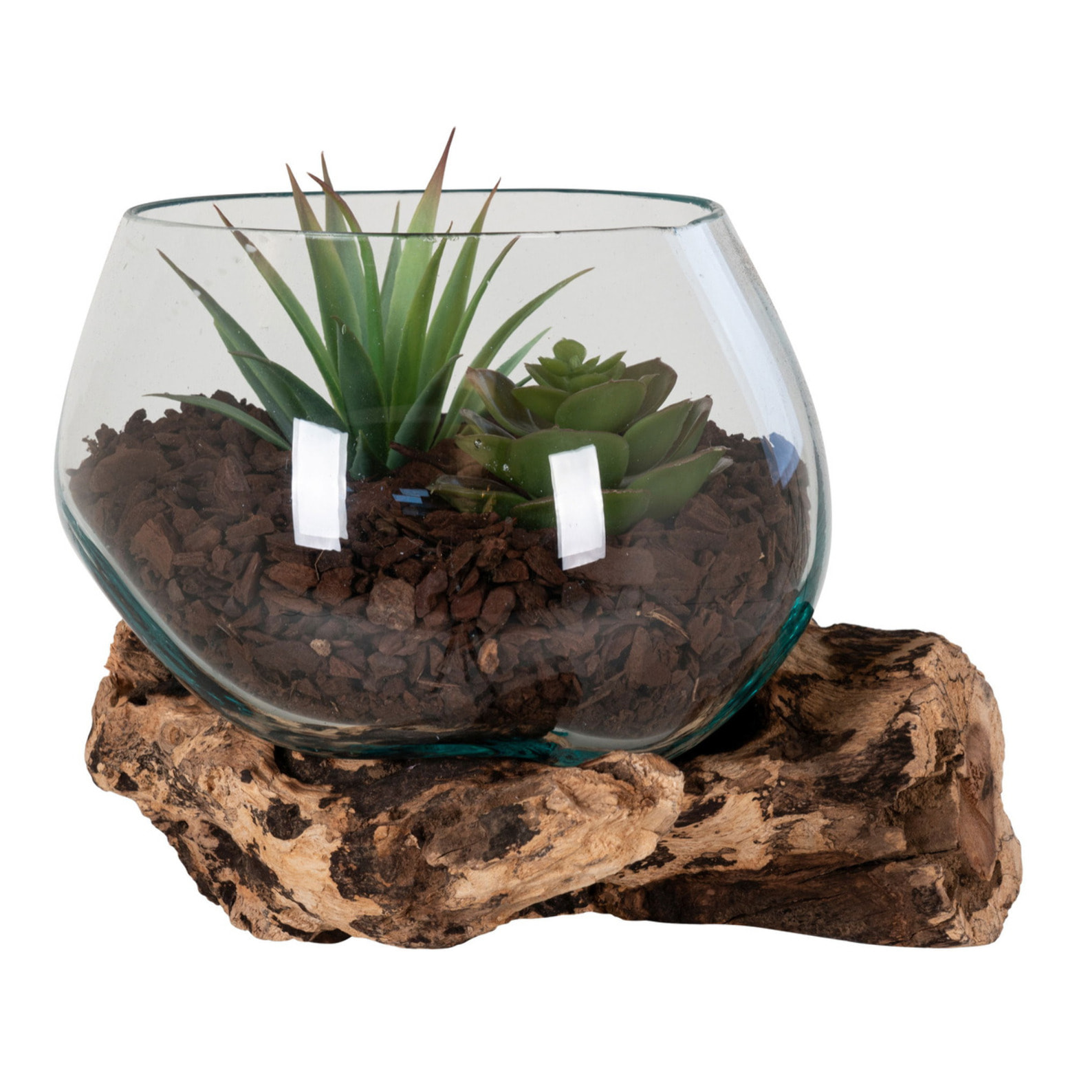 Terrario San Marino in vetro sferico su base in radice di teak 15x15x15 cm