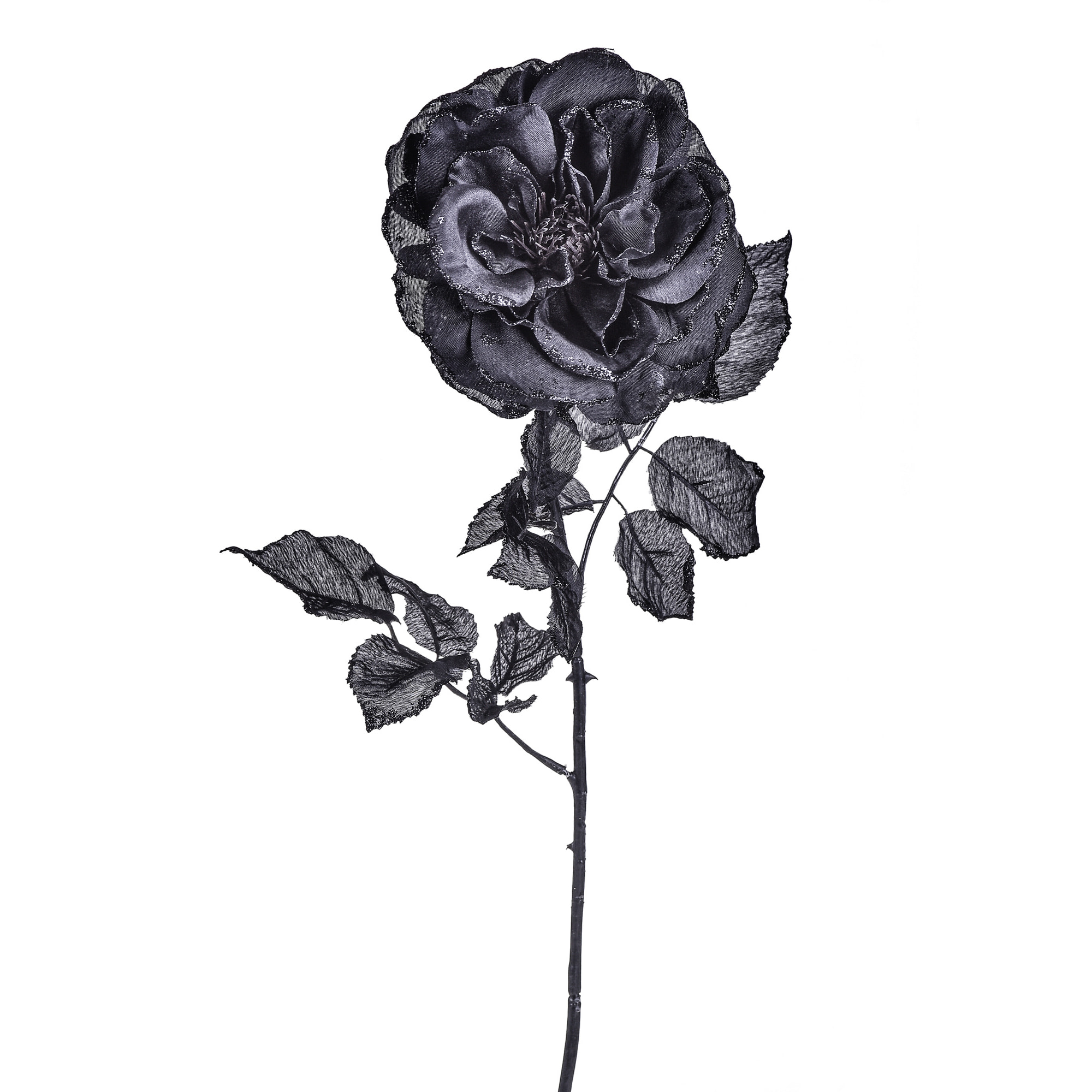 Rosa cabbage con glitter - Pezzi 12 - NERO - Bianchi Dino SpA