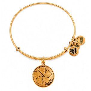 Pulsera Alex And Ani Mujer A12EB51RG
