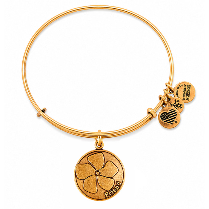 Pulsera Alex And Ani Mujer A12EB51RG