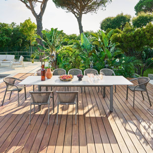 Table de jardin 12 places Luzane extensible argile
