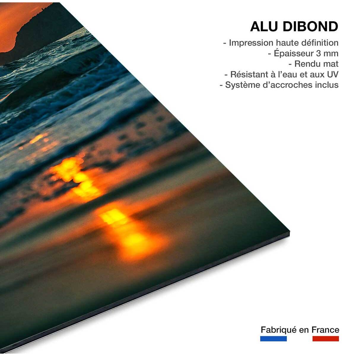 Tableau sud ouest les deux jumeaux  Tableau alu Dibond