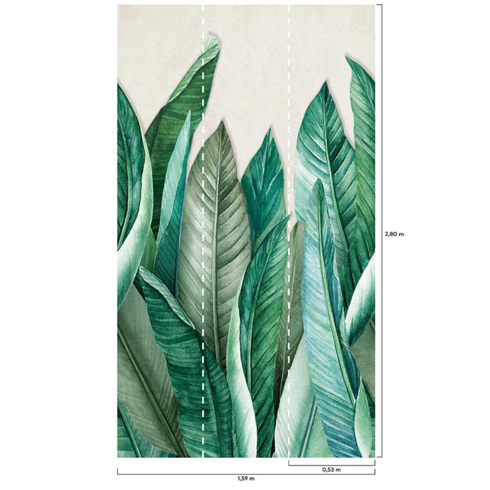 Papier peint feuilles de bananier Vert